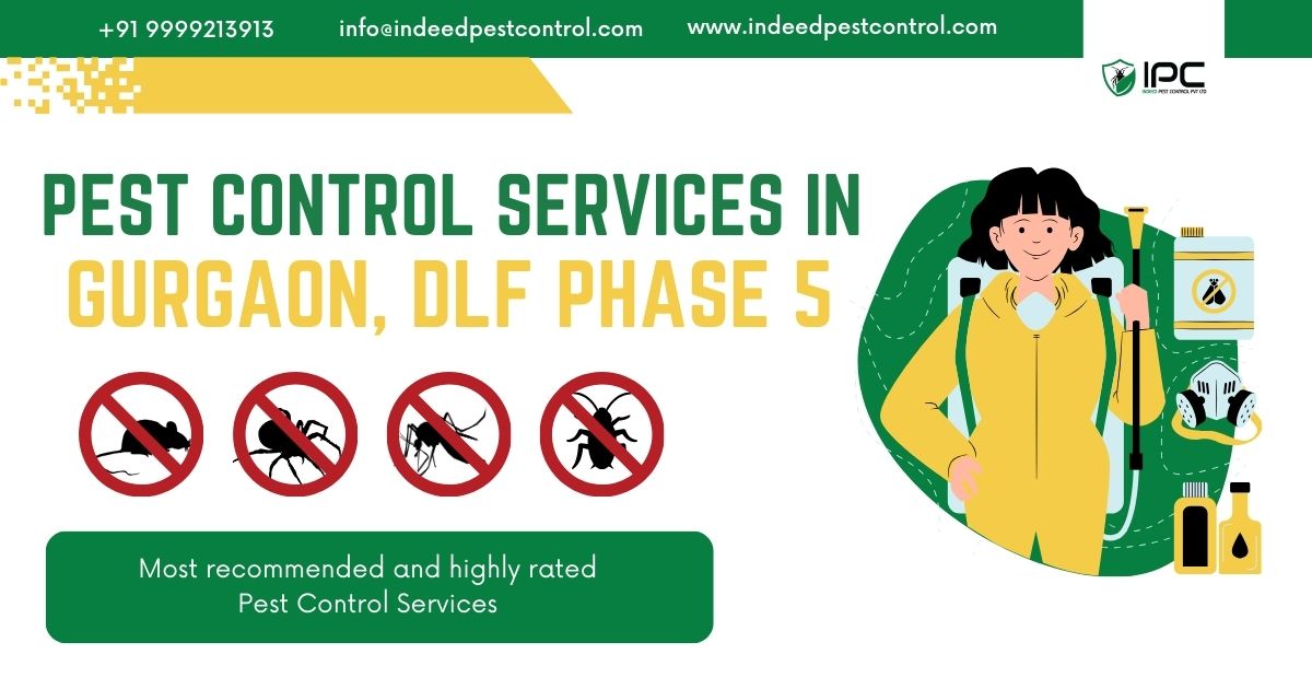 Pest Control Services in Gurgaon, DLF Phase 5