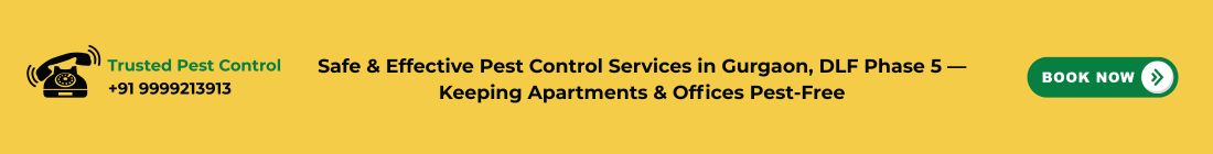 Pest Control Services in Gurgaon, DLF Phase 5